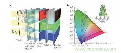  LCD顯示器示意圖。TFT表示薄膜晶體管（thin-film transistor）。