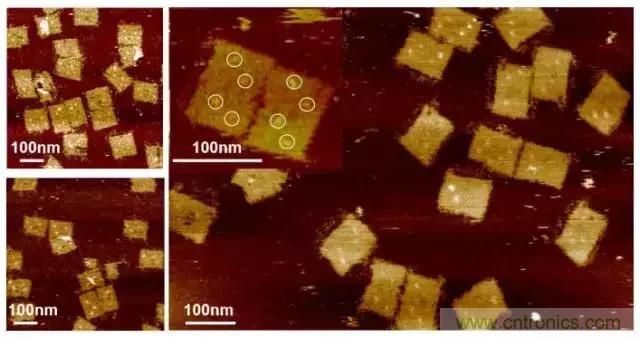 中美科學家聯(lián)手，用DNA納米機器人殺死癌細胞