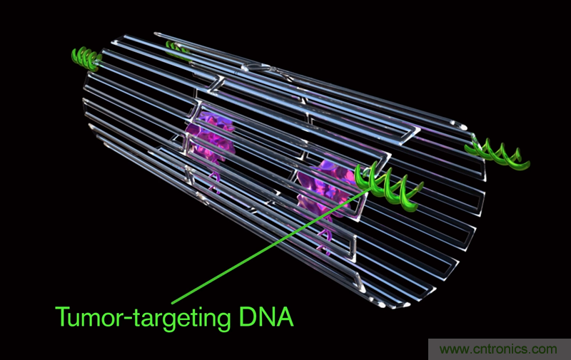 中美科學家聯(lián)手，用DNA納米機器人殺死癌細胞