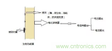 仿生傳感器的定義、原理、分類及應(yīng)用