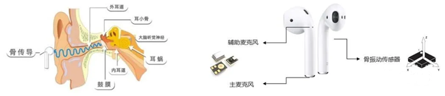 骨振動傳感器在TWS耳機(jī)中的應(yīng)用